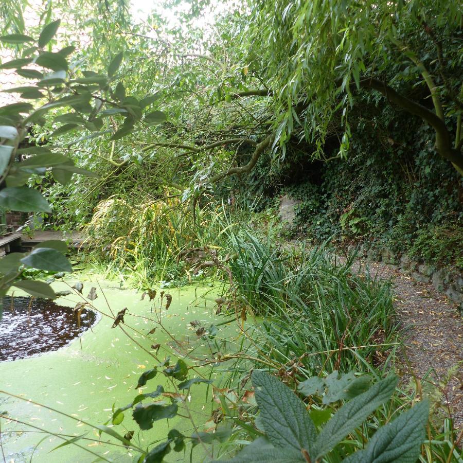 B&B Aquavert&Wellness Tournai Exterior foto
